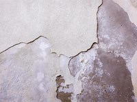 ¿Existen diferentes tipos de humedades?