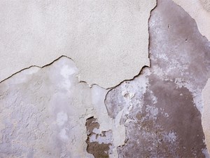 ¿Existen diferentes tipos de humedades?