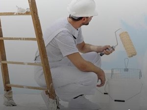 ¿Qué pintura es la adecuada para el interior del hogar?